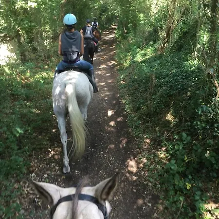 Domaine Des Pierres Jumelles-balade A Cheval-chambre D'hotes Mayenne Sainte-Gemmes-le-Robert