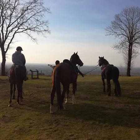 Bed & Breakfast Domaine Des Pierres Jumelles-balade A Cheval-chambre D'hotes Mayenne Sainte-Gemmes-le-Robert