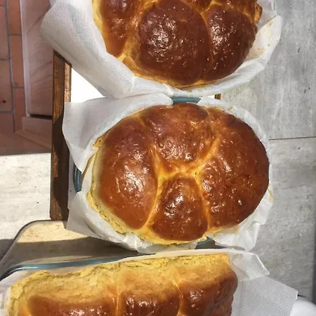 Domaine Des Pierres Jumelles-balade A Cheval-chambre D'hotes Mayenne