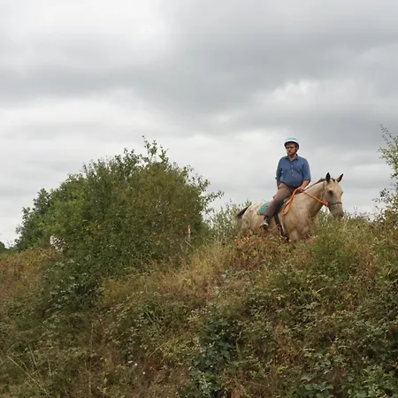 Domaine Des Pierres Jumelles-balade A Cheval-chambre D'hotes Mayenne Bed & Breakfast *