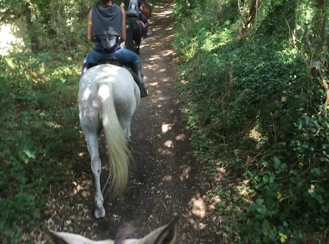 Domaine Des Pierres Jumelles-balade A Cheval-chambre D'hotes Mayenne Sainte-Gemmes-le-Robert