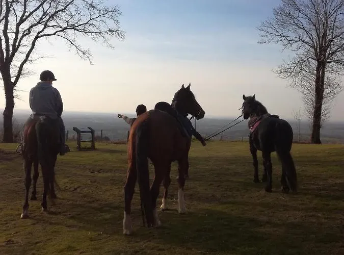 Frühstückspension Domaine Des Pierres Jumelles-balade A Cheval-chambre D'hotes Mayenne Sainte-Gemmes-le-Robert
