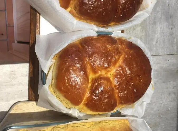 Domaine Des Pierres Jumelles-balade à Cheval-chambre D'hôtes Mayenne