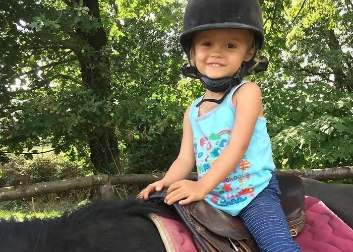 Domaine Des Pierres Jumelles-balade A Cheval-chambre D'hotes Mayenne Frühstückspension 3*