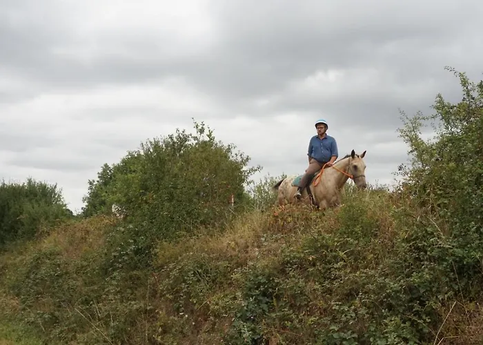 Domaine Des Pierres Jumelles-balade A Cheval-chambre D'hotes Mayenne Frühstückspension 3*