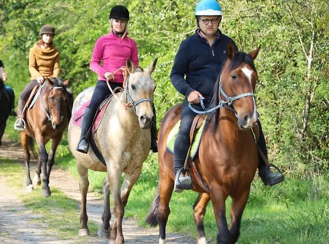 Frühstückspension Domaine Des Pierres Jumelles-balade A Cheval-chambre D'hotes Mayenne 3*